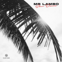 Рингтон Mr Lambo - Slow Dance на звонок скачать