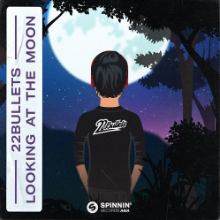 Рингтон 22Bullets - Looking At The Moon на звонок скачать
