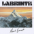 Рингтон Labrinth - Mount Everest на звонок скачать