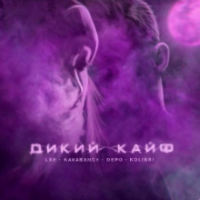 Рингтон LXE & Kavabanga Depo Kolibri - Дикий Кайф (M Laime & Frost Remix) на звонок скачать