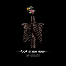 Рингтон Brennan Savage - Look At Me Now (GRIVO Remix) на звонок скачать