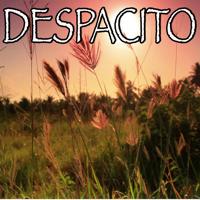 Рингтон Luis Fonsi & Daddy Yankee - Despacito (Marimba Remix) 2 на звонок скачать