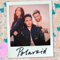 Рингтон Jonas Blue & Liam Payne, Lennon Stella - Polaroid на звонок скачать