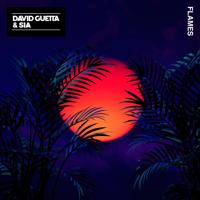 Рингтон David Guetta & Sia - Flames (Robin Schulz Remix) на звонок скачать