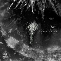 Рингтон Rasster - Alligator (TRITICUM Remix) на звонок скачать