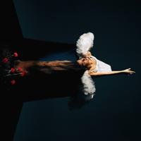 Рингтон Dina - Я Ищу Тебя на звонок скачать