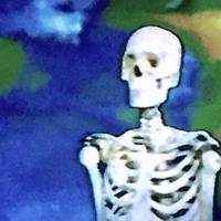 Рингтон BONES - SystemPreferences на звонок скачать