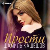 Рингтон Шамиль Кашешов - Прости на звонок скачать