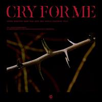 Рингтон Twice - Cry For Me на звонок скачать