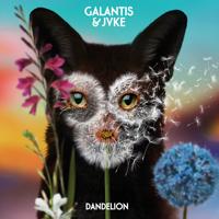 Рингтон Galantis & JVKE - Dandelion на звонок скачать