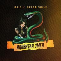 Рингтон MriD & Artem Smile - Ядовитая Змея на звонок скачать