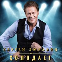 Рингтон Сергей Любавин - Холодает на звонок скачать