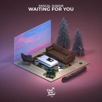 Рингтон Pascal Junior - Waiting For You на звонок скачать