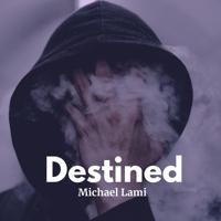 Рингтон Michael Lami - Destined на звонок скачать