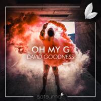 Рингтон David Goodness - Oh My G на звонок скачать