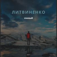 Рингтон Литвиненко - Сонный на звонок скачать