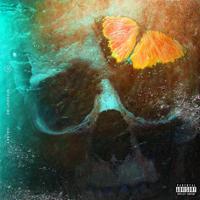 Рингтон Halsey - Without Me (Dj Dark & Nesco Remix) на звонок скачать