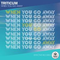 Рингтон TRITICUM - When You Go Away на звонок скачать