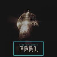 Рингтон StereoMadness - Feel на звонок скачать