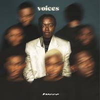 Рингтон Tusse - Voices на звонок скачать
