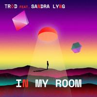 Рингтон TRXD & Sandra Lyng - In My Room на звонок скачать