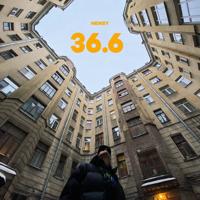 Рингтон Hensy - 36.6 на звонок скачать