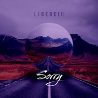 Рингтон Libercio - Sorry на звонок скачать