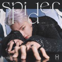 Рингтон HOSHI (SEVENTEEN) - Spider на звонок скачать