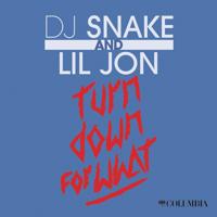 Рингтон Dj Snake & Lil Jon - Turn Down For What (Nortkash Remix) на звонок скачать