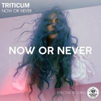 Рингтон TRITICUM - Now Or Never на звонок скачать