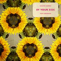Рингтон Calvin Harris & Tom Grennan - By Your Side на звонок скачать