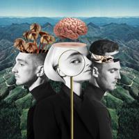 Рингтон Clean Bandit & Ellie Goulding - Mama (FVTM & VANE Remix) на звонок скачать
