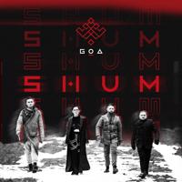 Рингтон Go_A - Shum (Zyrak & Saradis Remix) на звонок скачать