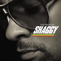 Рингтон Shaggy - Boombastic (TikTok Remix) на звонок скачать