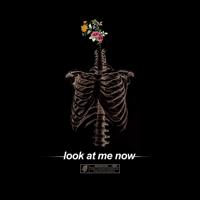 Рингтон Brennan Savage - Look At Me Now (Instrumental) на звонок скачать
