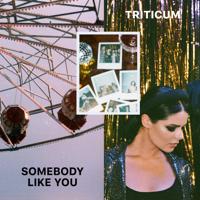 Рингтон TRITICUM - Somebody Like You на звонок скачать