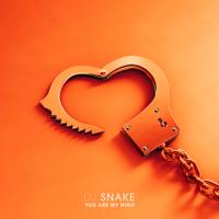 Рингтон Dj Snake - You Are My High на звонок скачать
