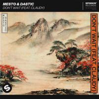 Рингтон Mesto & Dastic, Claudy - Don't Wait на звонок скачать