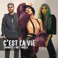 Рингтон Shanguy & Holy Molly - C'est La Vie на звонок скачать