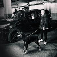 Рингтон Andery Toronto & Taras - Сталь на звонок скачать