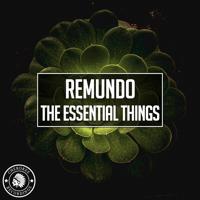 Рингтон Remundo - The Essential Things на звонок скачать