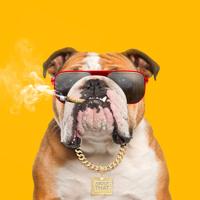 Рингтон About That & Evalina - Who Let The Dogs Out на звонок скачать