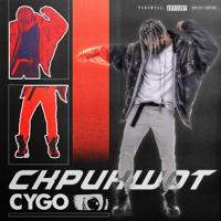 Рингтон CYGO - Скриншот на звонок скачать