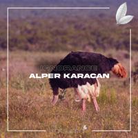Рингтон Alper Karacan - Ignorance на звонок скачать