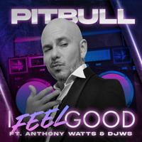 Рингтон Pitbull & Anthony Watts, DJWS - I Feel Good на звонок скачать