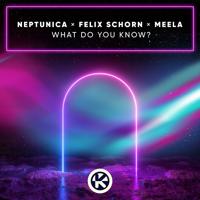 Рингтон Neptunica & Felix Schorn, Meela - What Do You Know на звонок скачать
