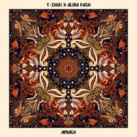 Рингтон T-Zhuk - Amaga на звонок скачать