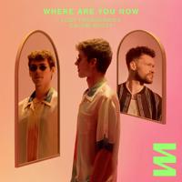 Рингтон Lost Frequencies & Calum Scott - Where Are You Now (XZEEZ Remix) на звонок скачать